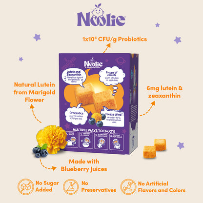 Complete Nutrition Bundle