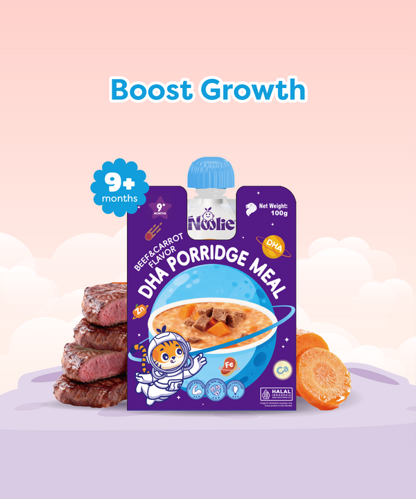 DHA Porridge Meal - Beef & Carrot